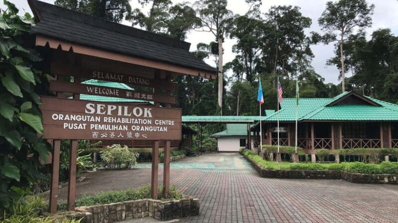 Full Day At Sepilok Orangutan, Sun Bear & Sandakan City Tour - Transport and Group Size
