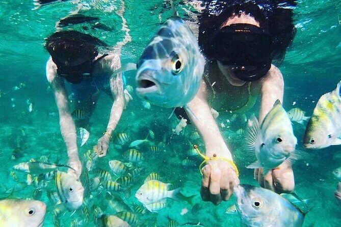 Full Day ATV, Coffee, Chocolate Tasting & Party Boat - Who Will Love This Tour?