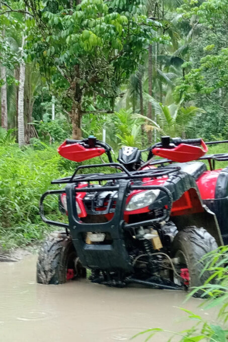 Full-Day ATV Khaolak Adventure With Local Support - Turtle Conservation Center