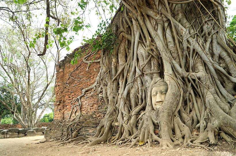 Full Day Ayutthaya Historical VIP Private Tour - Important Information