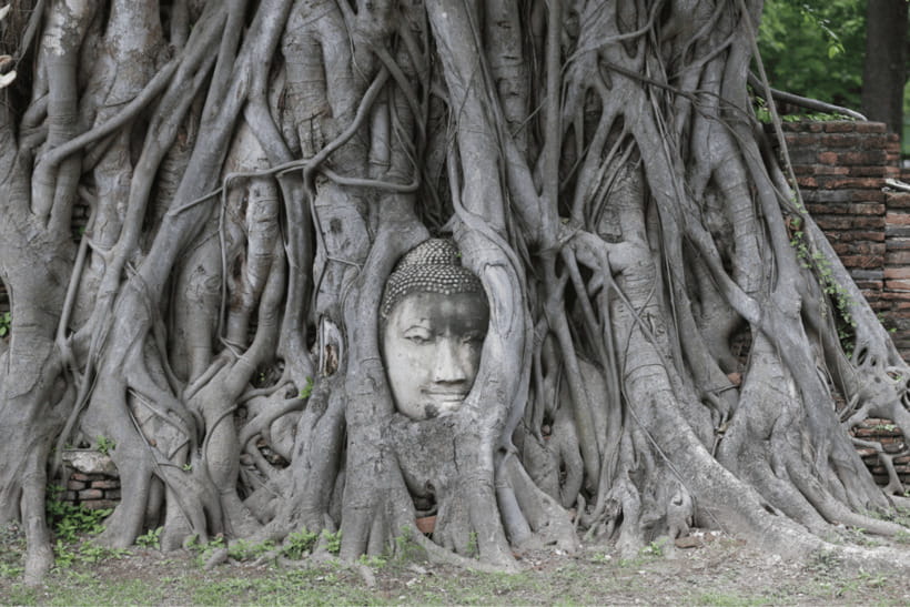 Full Day : Bangkok-Ayutthaya UNESCO World Heritage Site - Tour Overview