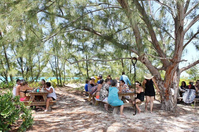 Full Day Beach BBQ Lunch & Snorkeling Excursion in Grace Bay - Key Points