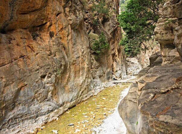 Full-Day Beginner's Hiking Route Tour to Samaria Gorge - Key Points