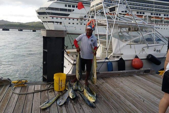 Full Day Big Game Fishing - Pricing & Value Analysis