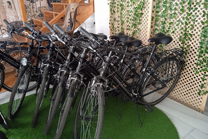 Full Day Bike Rental in Seville - Full Day Bike Rental in Seville: An Authentic Way to Discover the City  