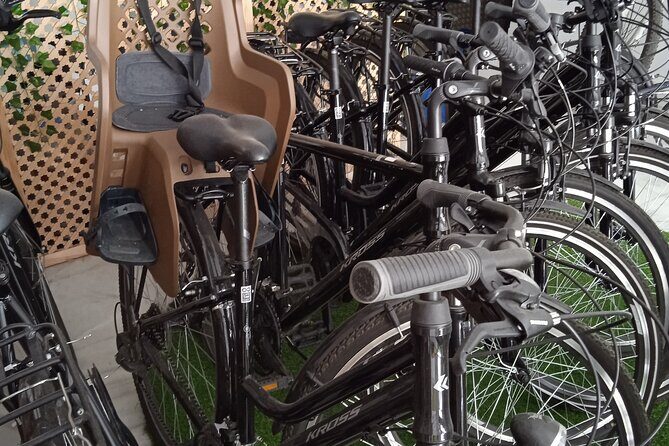 Full Day Bike Rental in Seville - Key Points  