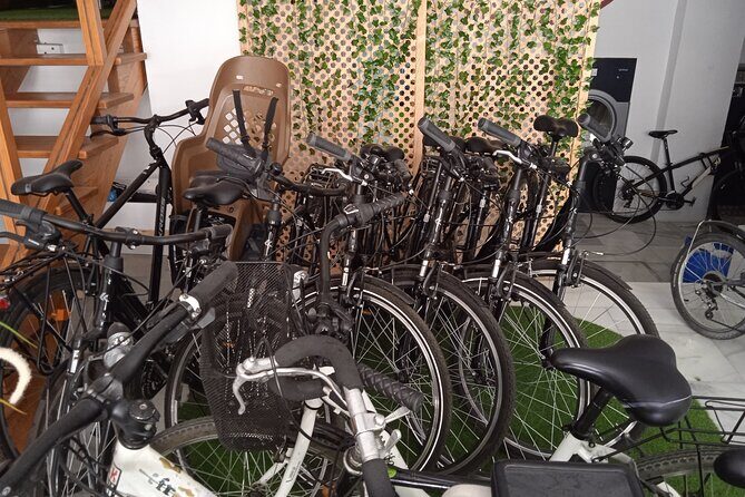 Full Day Bike Rental in Seville - What You Can Expect From This Bike Rental Experience  