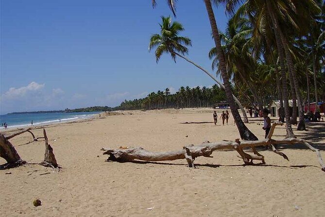 Full-Day Blue Lagoon Tour in Dominican Republic - Exploring the Full-Day Blue Lagoon Tour