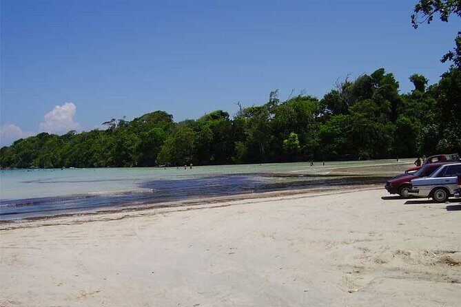 Full-Day Blue Lagoon Tour in Dominican Republic - Final Thoughts: Is This Tour Right for You?