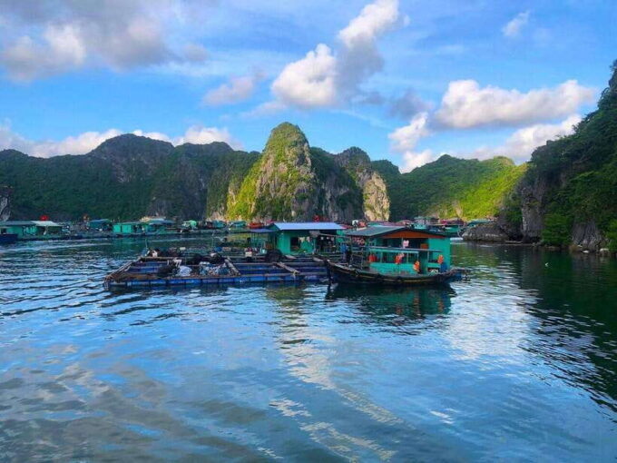 Full Day Boat Tour Explore Cat Ba Archipelago & Lan Ha Bay - Why Choose This Tour