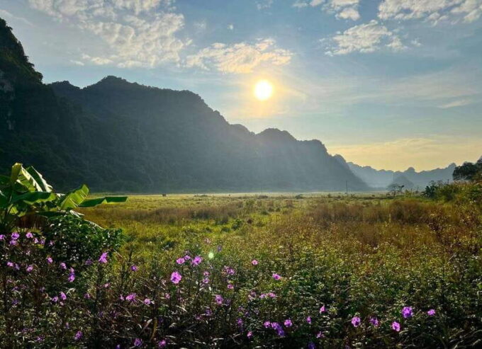 Full-Day Boat Tour Explore Lan Ha Bay From Cat Ba Island - Customer Feedback
