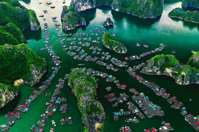 Full Day Boat Tour in Halong Bay, Cat Ba Archipelago & Lan Ha Bay - Minimum Fitness Requirements