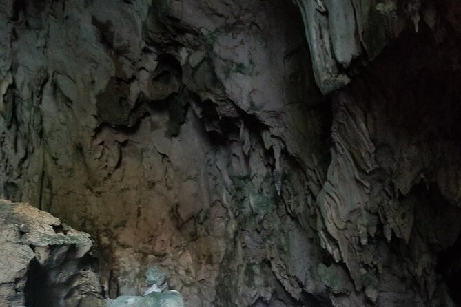 Full-Day Boat Tour of Los Haitises National Park - Reviews and Feedback