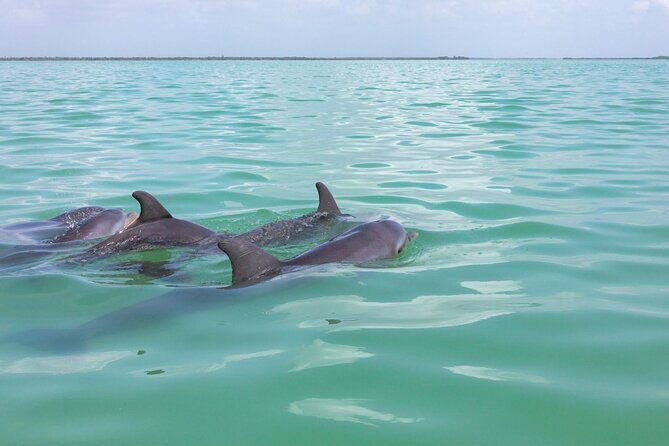 Full Day Boat Tour with Open Bar and Lunch in Riviera Maya - FAQ