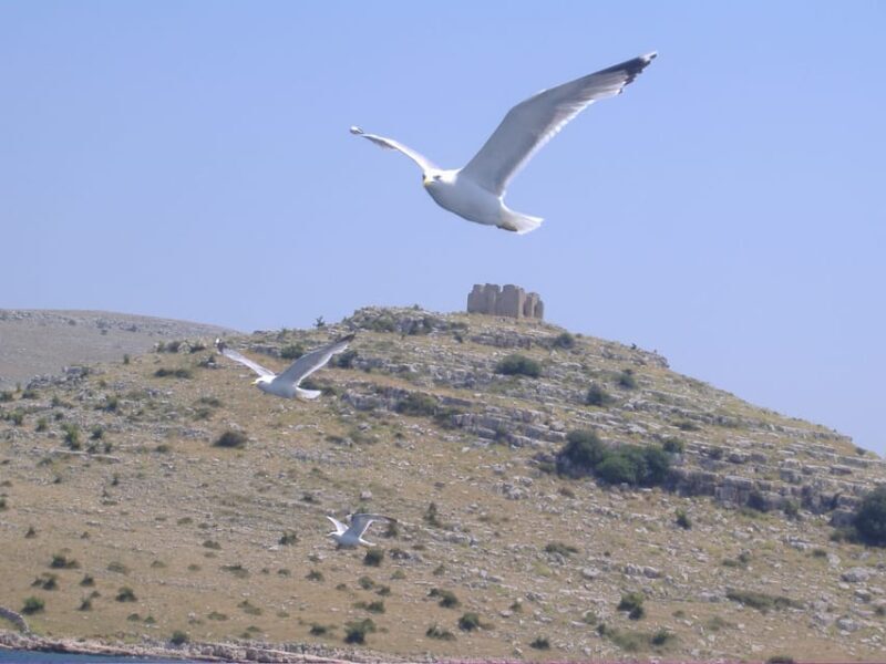 Full-day boat trip from Zadar and Sukoan to Kornati NP - Frequently Asked Questions