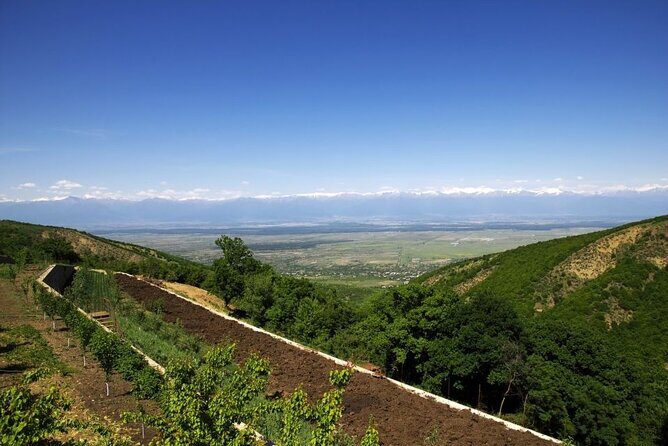 Full Day Bodbe Sighnaghi and Telavi Wine Tasting Tour - A Practical Look at the Tour Itself