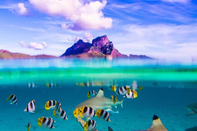 Full-Day Bora Bora Lagoon Cruise Including Snorkeling with Sharks and Stingrays - An Honest Look at the Full-Day Bora Bora Lagoon Cruise