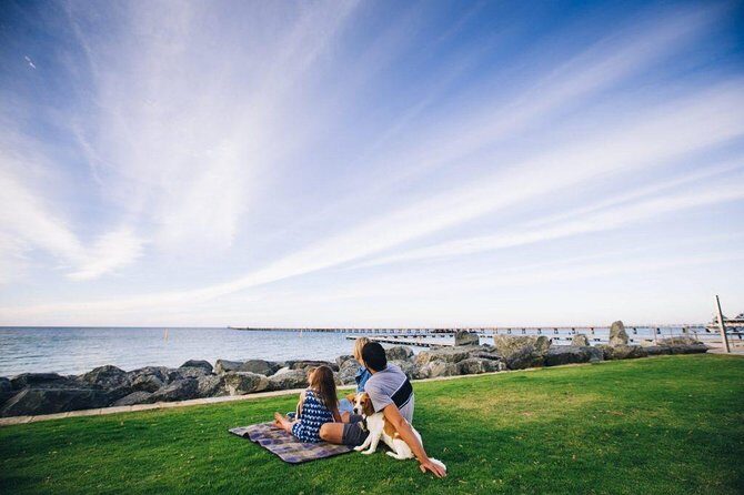 Full-Day Boutique Wine Tour with Pick Up and Lunch - An In-Depth Look at the Tour