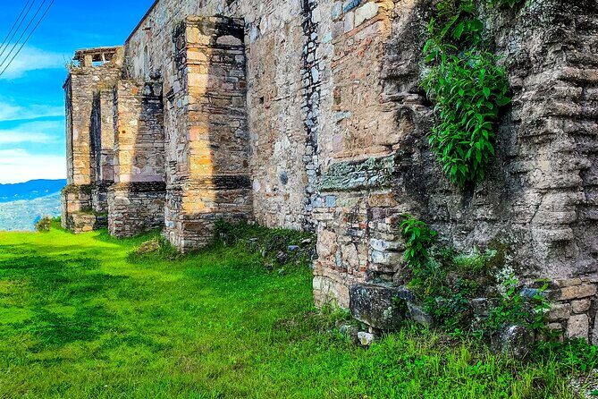Full Day Bromeliad Forest Tour from Oaxaca - Who Should Consider This Tour?
