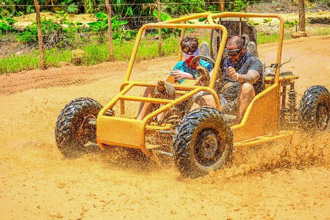 Full-day Buggy & Party Boat tour: snorkel, open bar, cave pool - Who Will Love This Tour?