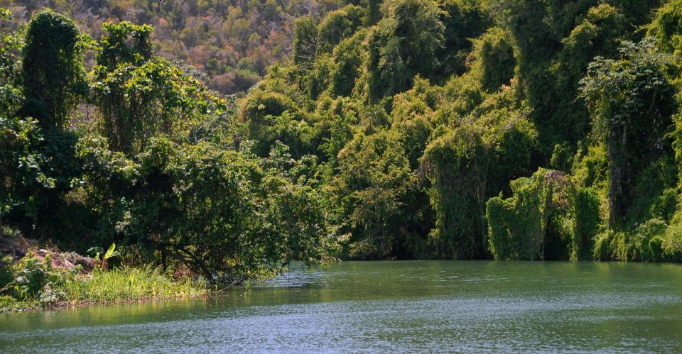 Full Day Buggy Safari With Lunch and Chavon River Tour - Key Points