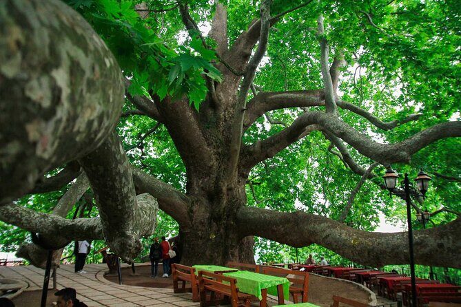 Full Day Bursa Tour from Istanbul(with cable car) - Who Will Love This Tour?