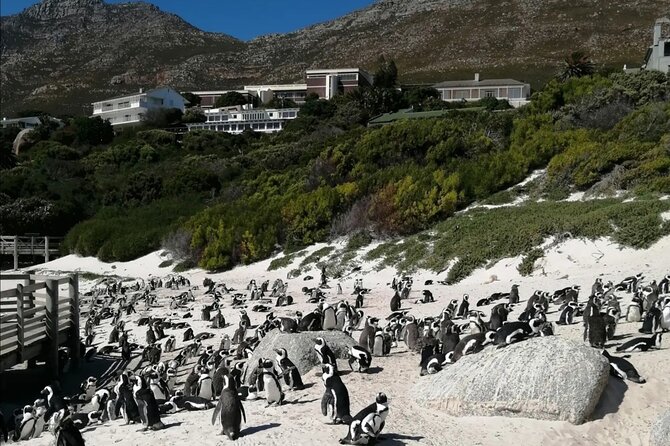 Full Day Cape Peninsula, Cape Point Tour - Frequently Asked Questions