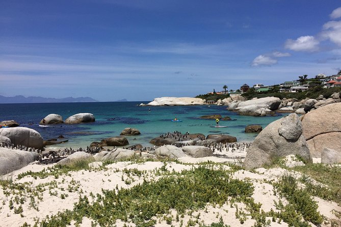 Full Day Cape Peninsula Motorcycle Tour on a Royal Enfield - Iconic Destinations