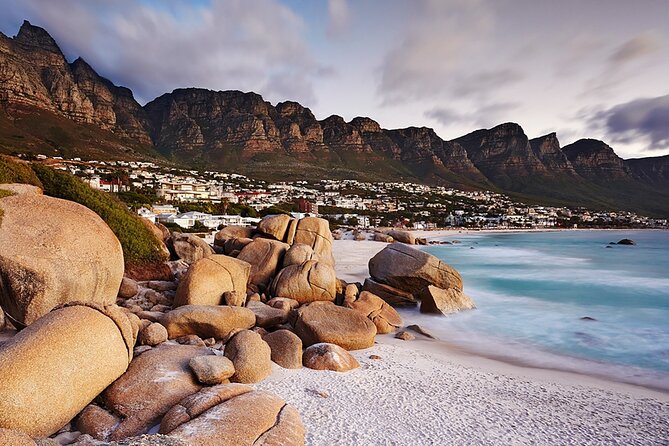 Full Day Cape Peninsula Tour - Exploring the Cape Peninsula
