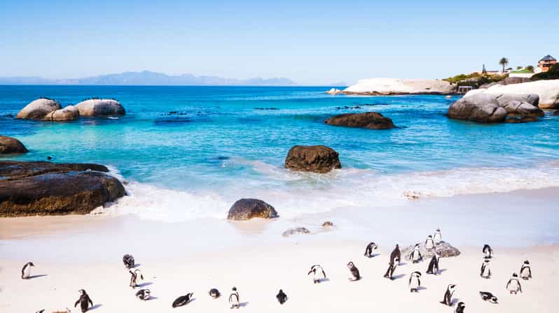Full Day Cape Peninsula Tour - Good To Know