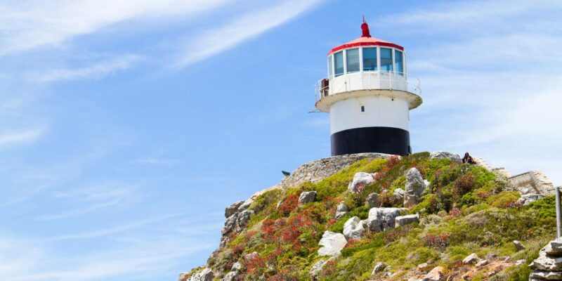 Full Day Cape Peninsula Tour - Scenic Coastal Drive