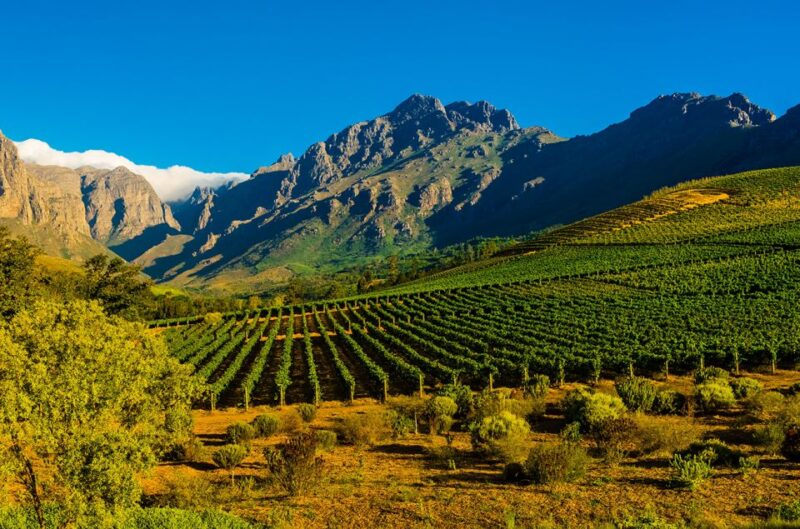 Full-Day Cape Winelands Tour - Good To Know