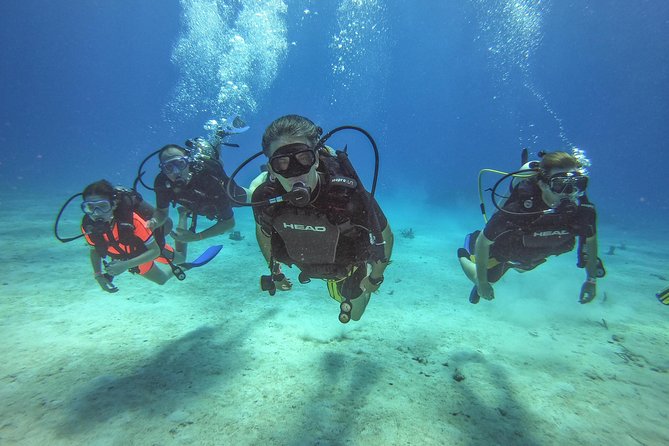 Full-Day Catalina Island Scuba Diving Tour From La Romana - Onboard Activities