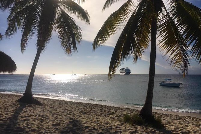 Full-Day Catalina Island Scuba Diving Tour From La Romana - Private Beach Experience