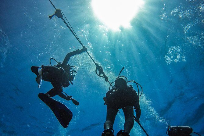 Full-Day Catalina Island Scuba Diving Tour from Punta Cana - A Detailed Look at the Itinerary