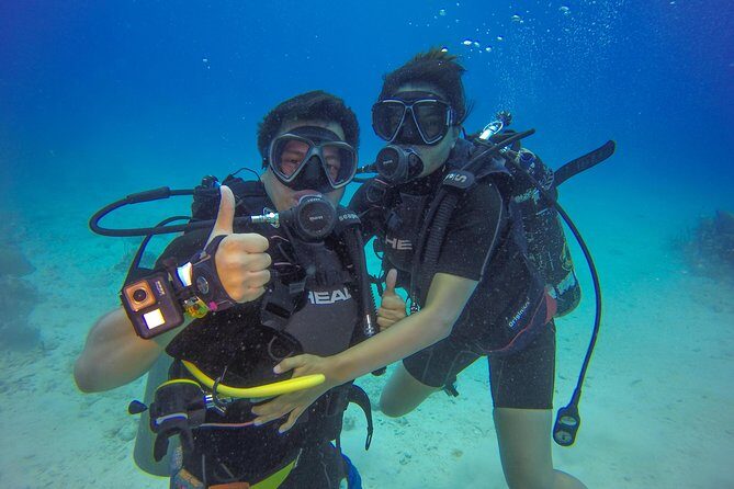 Full-Day Catalina Island Scuba Diving Tour from Punta Cana - Analyzing the Cost and Value