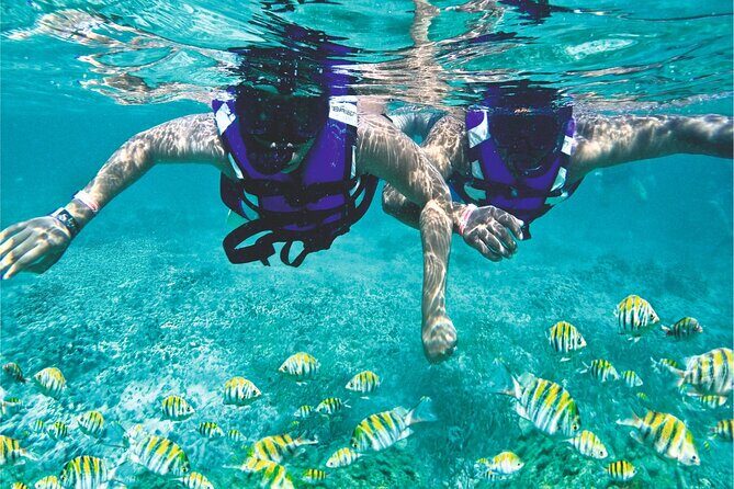 Full - Day Catalina Island Snorkel from Juan Dolio & Boca Chica - Authentic Insights from Reviews