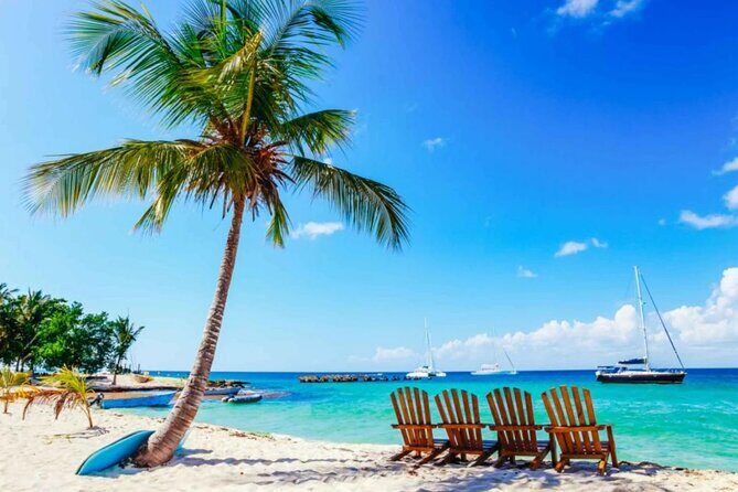 Full-Day Catalina Island Snorkeling Excursion from Punta Cana - An In-Depth Look at the Tour