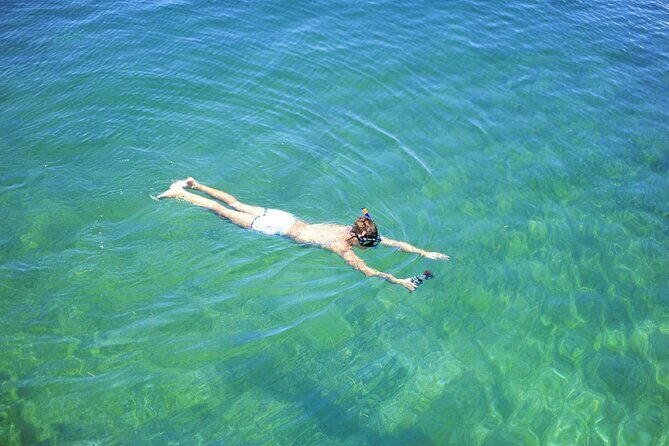 Full-Day Catalina Island Snorkeling Excursion from Punta Cana - The Sum Up