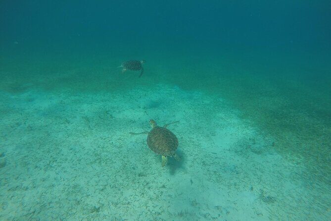 Full Day Charter from Fajardo to Culebra - Flexibility and Considerations