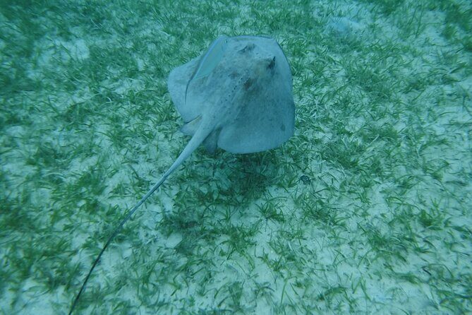 Full Day Charter from Fajardo to Culebra - The Sum Up