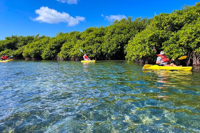 Full Day Clear Kayak Rental Grand Turk - Exploring the Experience: What You Can Expect
