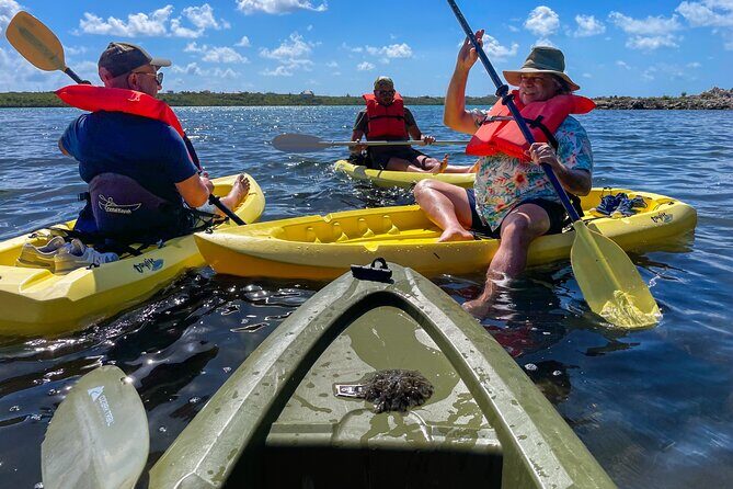 Full Day Clear Kayak Rental Grand Turk - From Reviews to Real Life: Authentic Perspectives