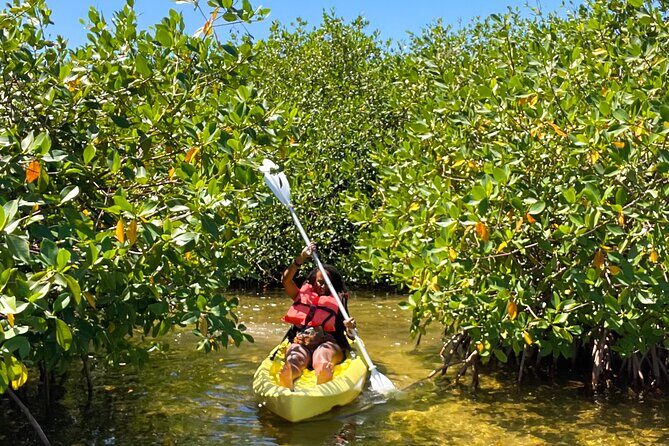 Full Day Clear Kayak Rental Grand Turk - Practical Details: Price, Duration, and Convenience