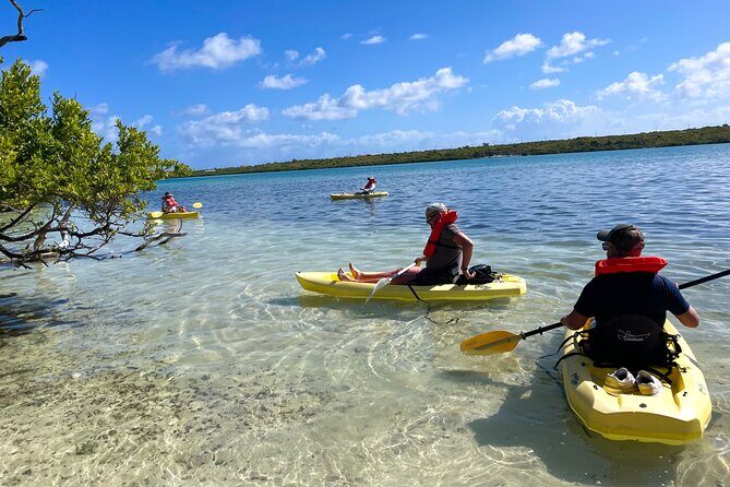 Full Day Clear Kayak Rental Grand Turk - Final Thoughts: Is It Worth It?