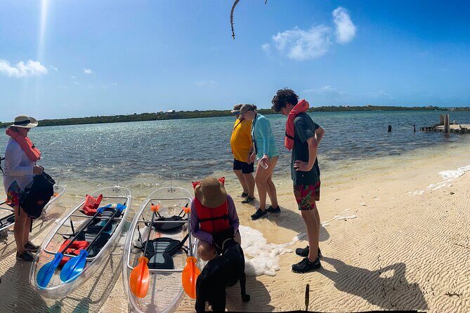 Full Day Clear Kayak Rental Grand Turk - Who Should Book This Experience?