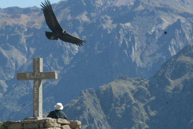 Full Day Colca Canyon With Entrances From Arequipa - Pickup and Start Time Details