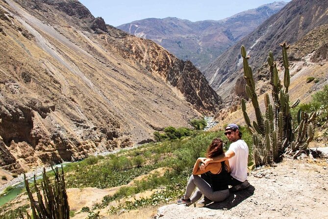 Full Day Colca Canyon With Entrances From Arequipa - Pricing and Lowest Price Guarantee