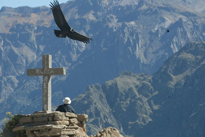Full Day Colca Canyon With Entrances From Arequipa - Customer Reviews and Feedback