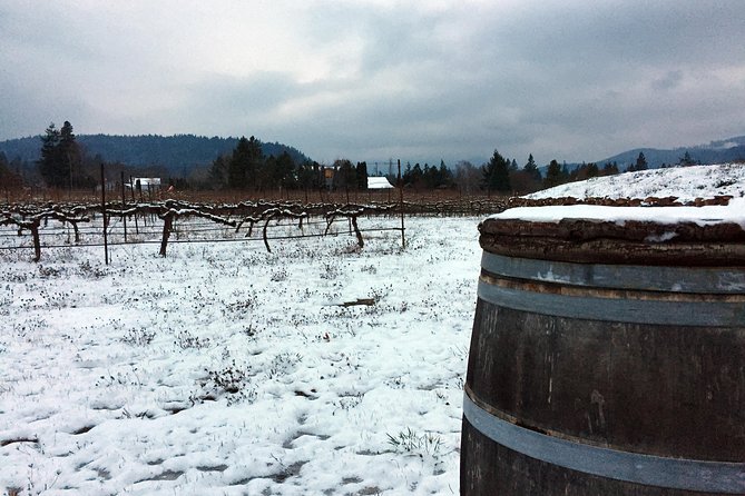 Full-day Columbia Gorge Hiking - Traveler Reviews and Feedback